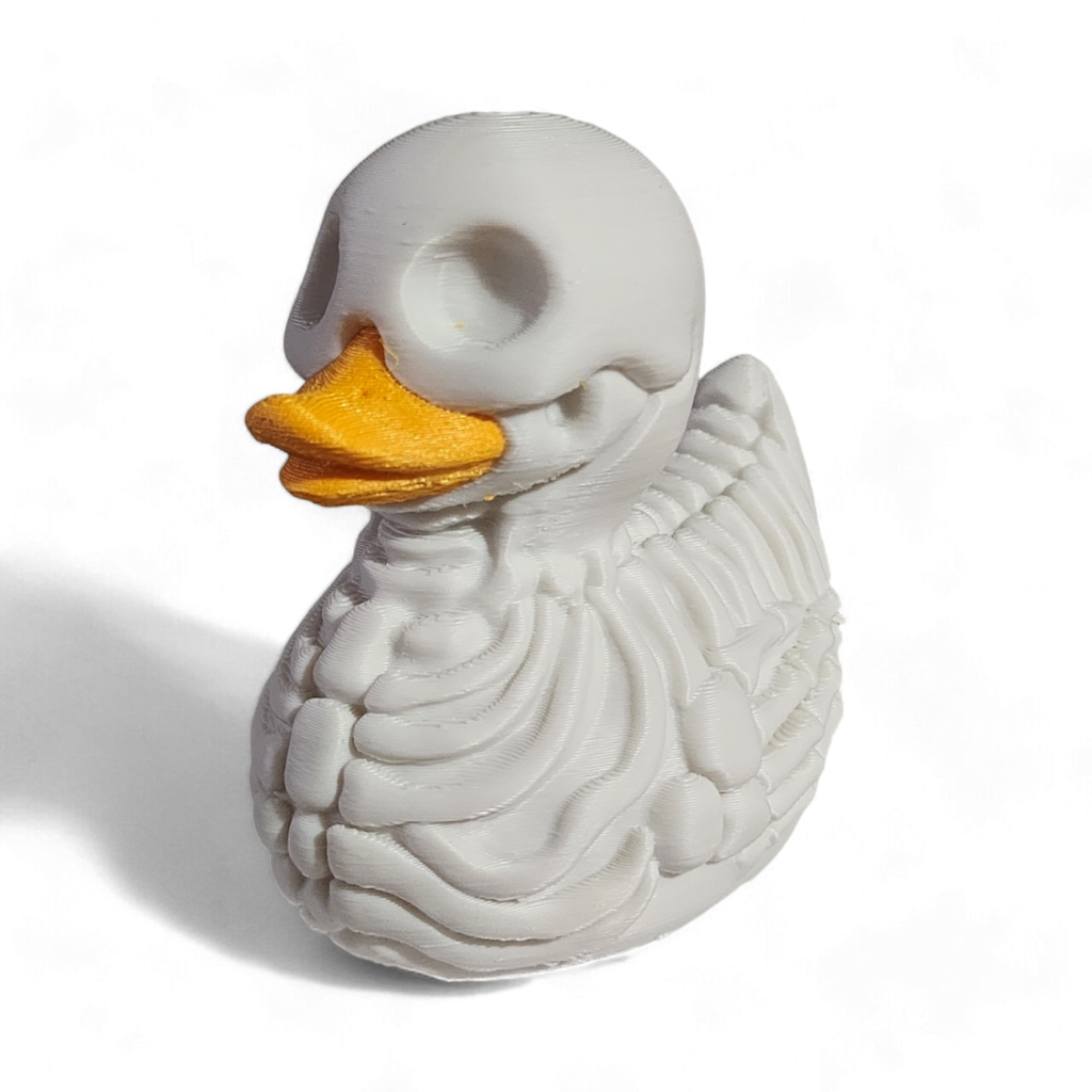 Skeleton Duck