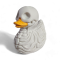 Skeleton Duck