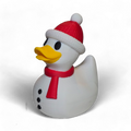 Snow Duck