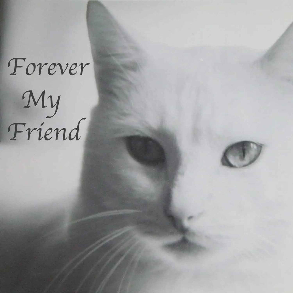 Stainless Steel Pet Memorial Urn for Cats & Small Dogs