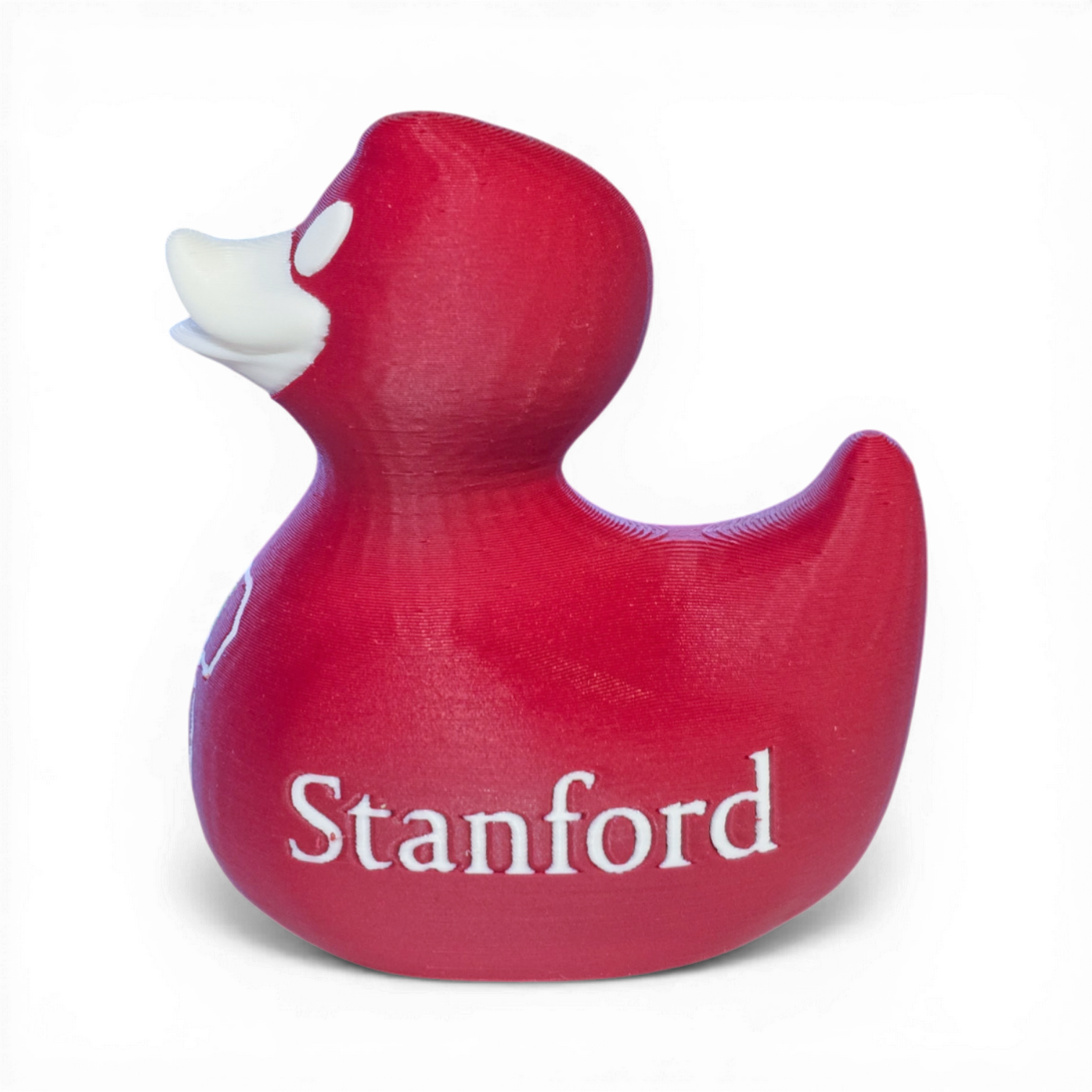 Stanford Duck