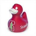Stanford Duck