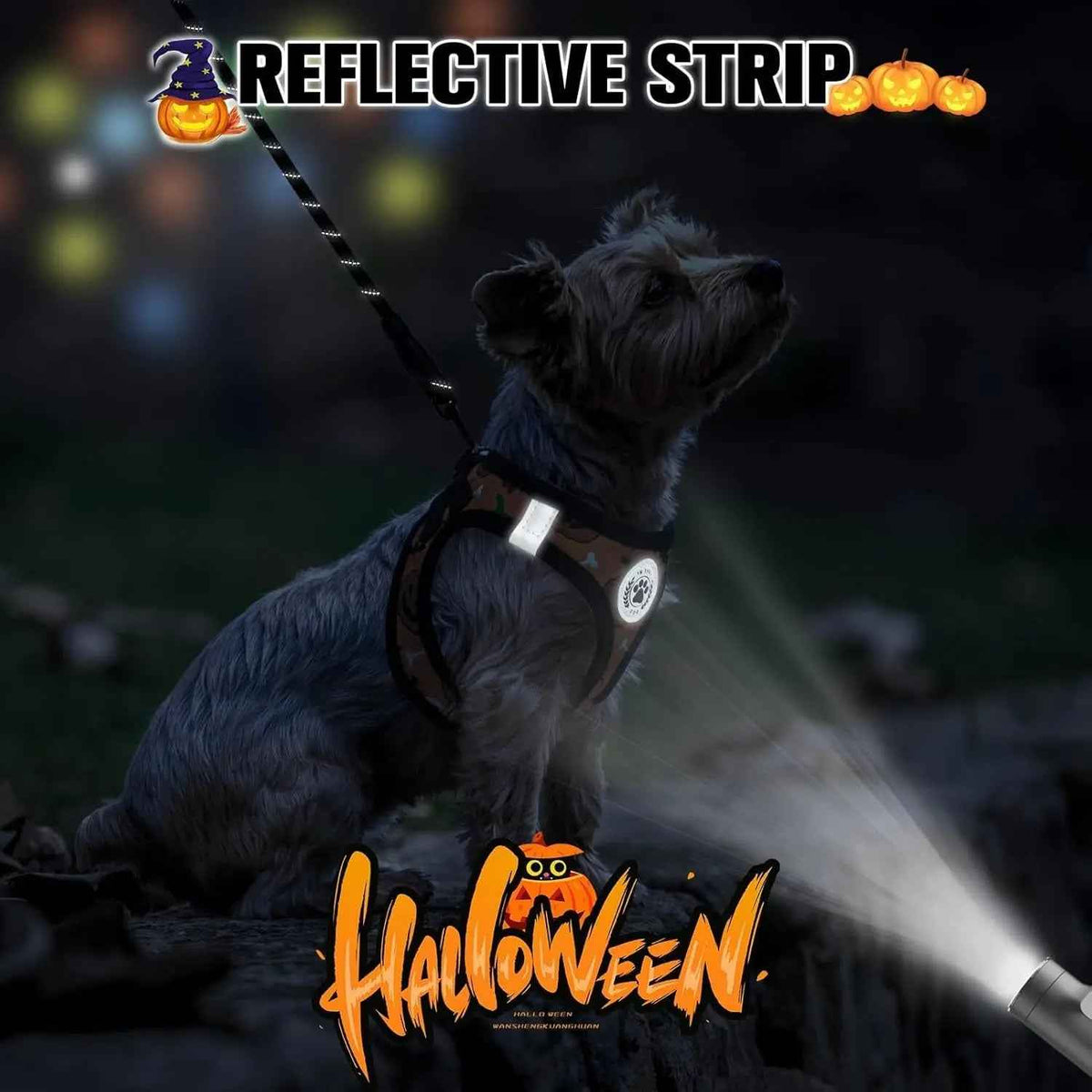 Step-In No-Pull Dog Harness & Leash Set, Reflective