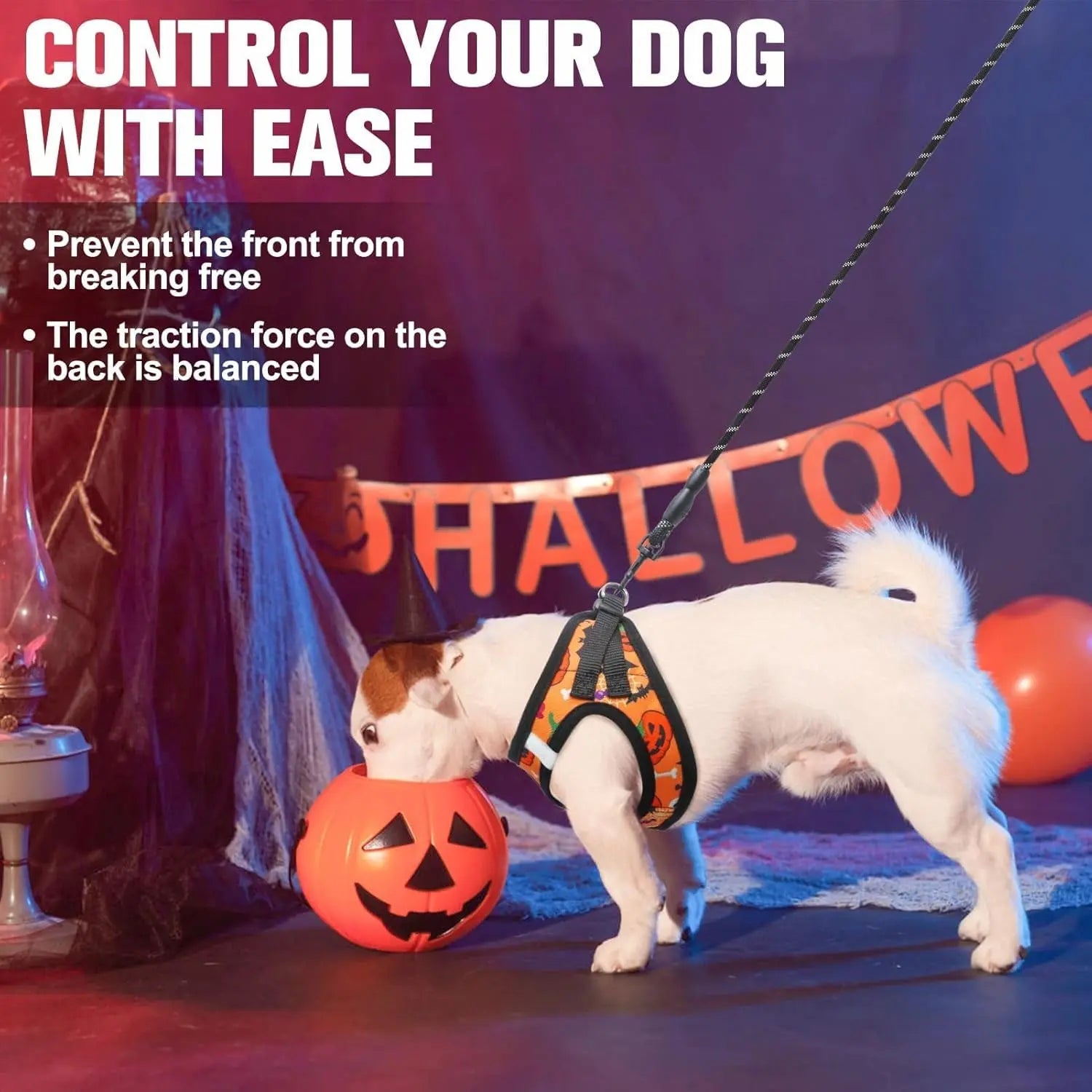 Step-In No-Pull Dog Harness & Leash Set, Reflective