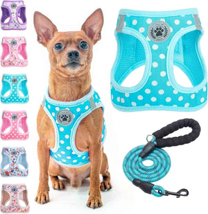 Blue Polka Dots