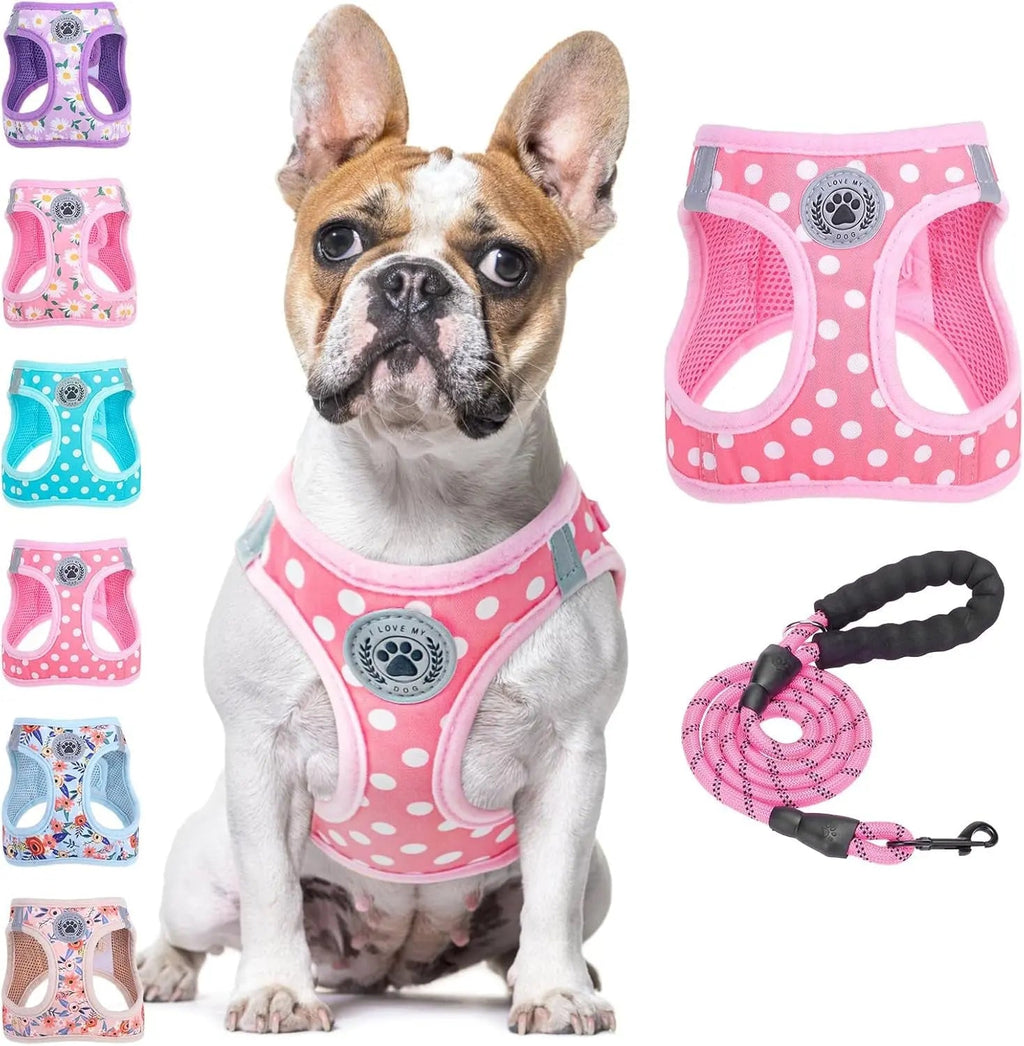 Step-In No-Pull Dog Harness & Leash Set, Reflective