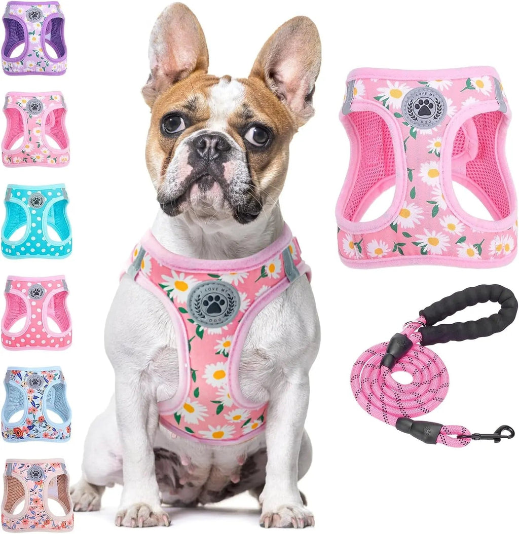 Step-In No-Pull Dog Harness & Leash Set, Reflective