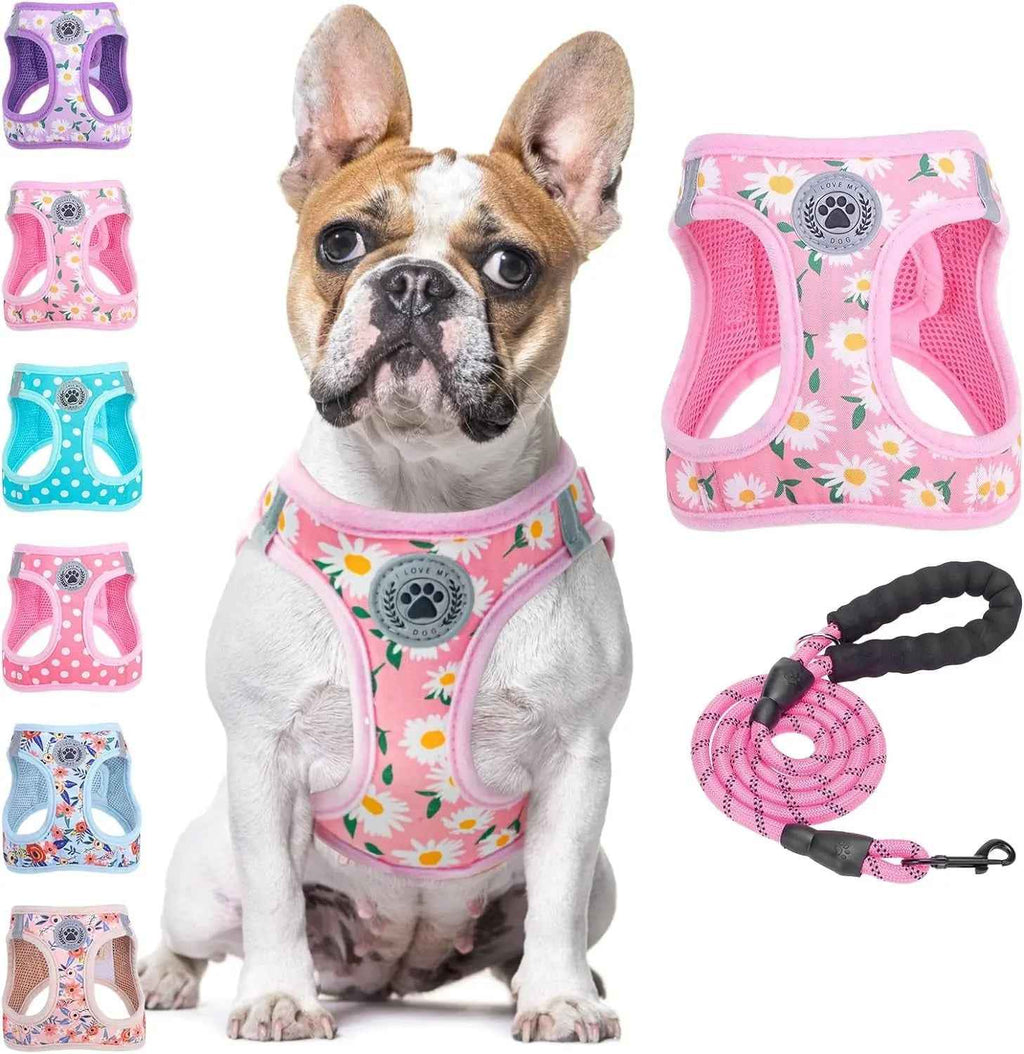 Step-In No-Pull Dog Harness & Leash Set, Reflective