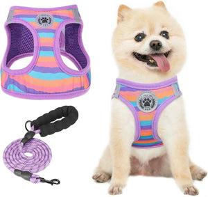 Purple_Stripe