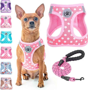 Pink Polka Dots