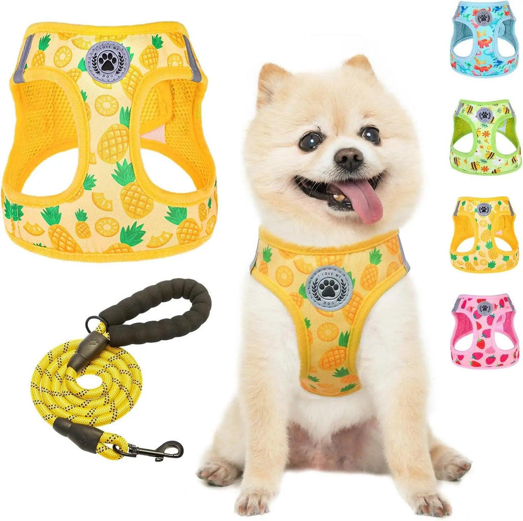 Step-In No-Pull Dog Harness & Leash Set, Reflective