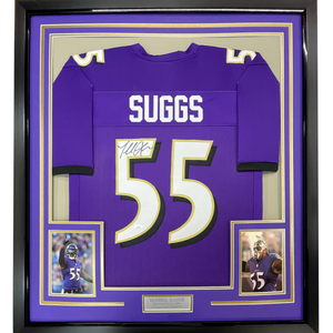 Framed Autographed/Signed Terrell Suggs 35x39 Baltimore Purple Football Jersey JSA COA