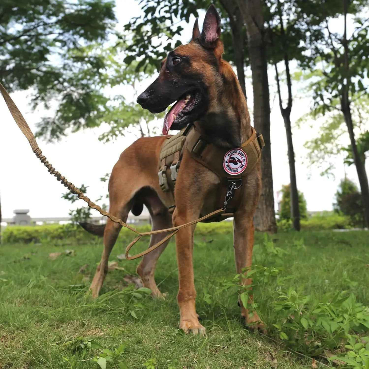 Tactical Dog Harness 6 Buckle No Pull MOLLE Vest Adjustable 3/4 Coverage