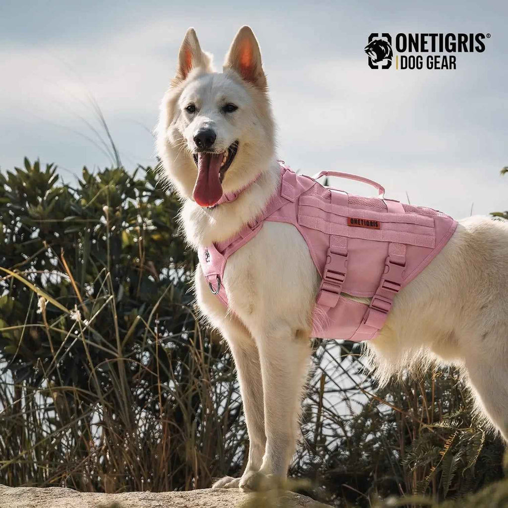 Tactical No-Pull Dog Harness with MOLLE Vest & Dual Handles