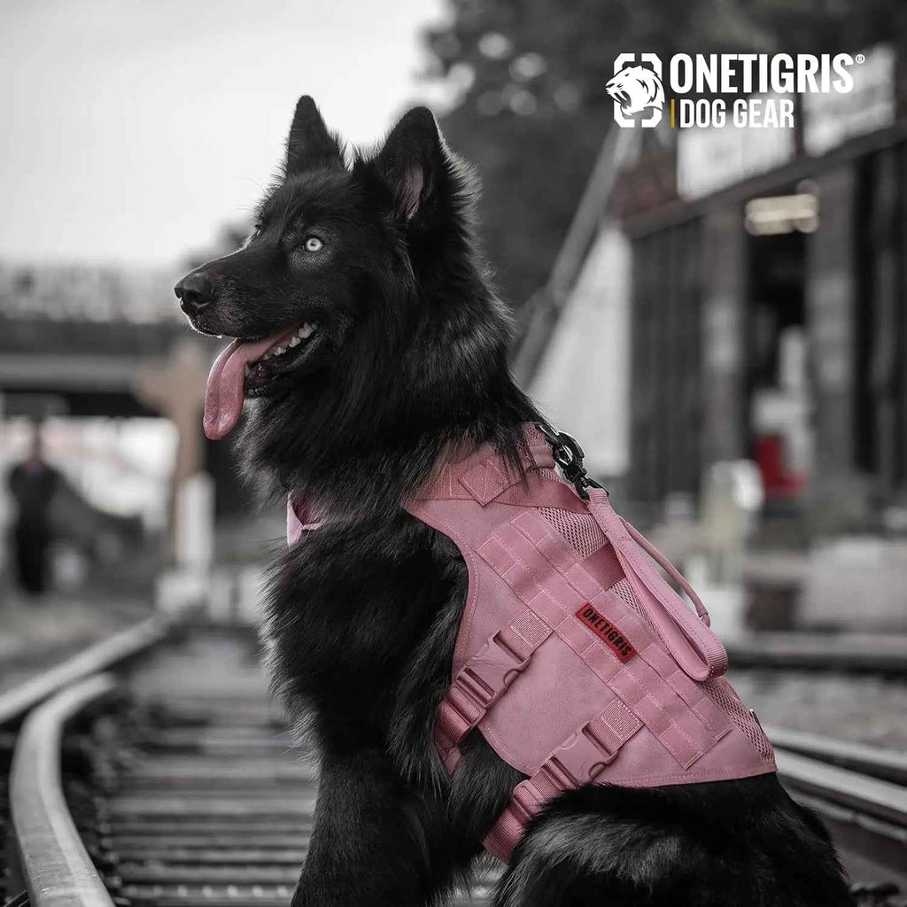 Tactical No-Pull Dog Harness with MOLLE Vest & Dual Handles