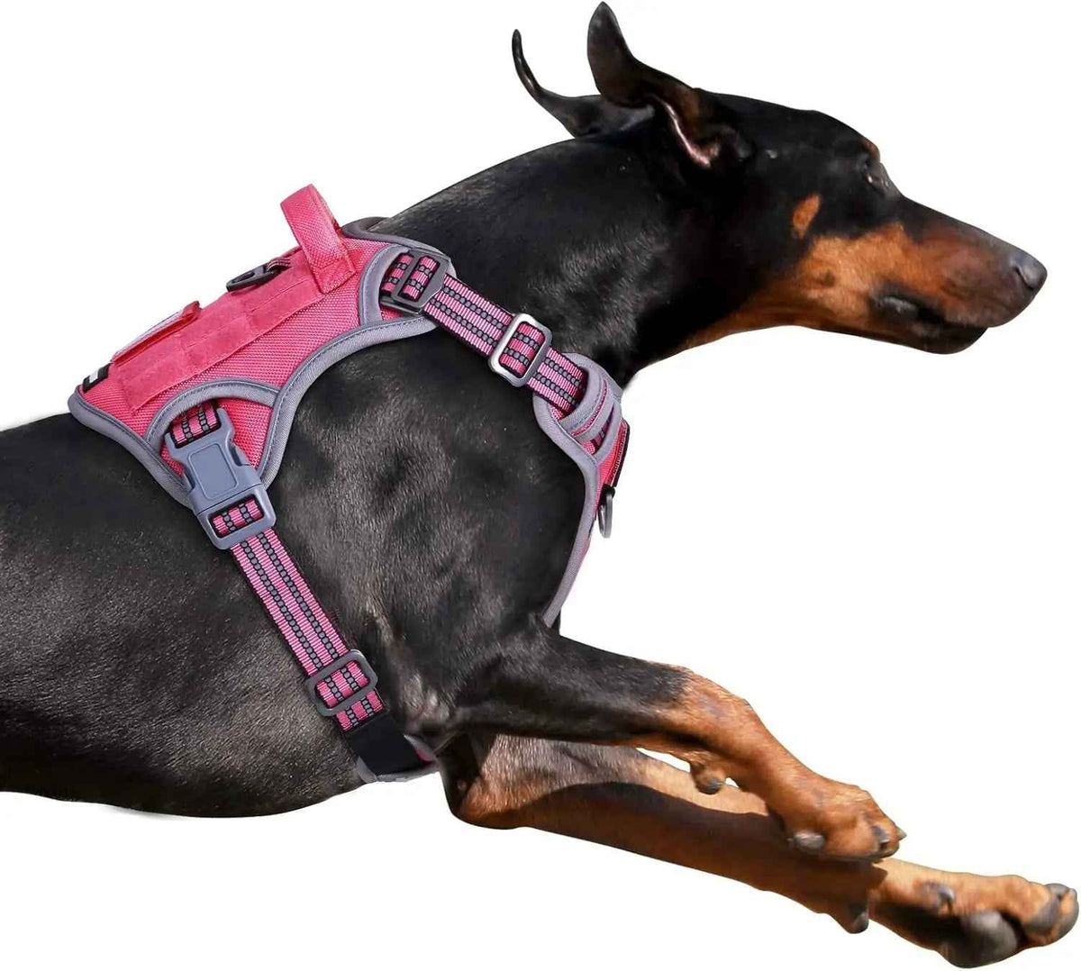 Tactical No-Pull Dog Harness with Handle – Reflective