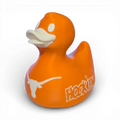 Texas Longhorns Duck