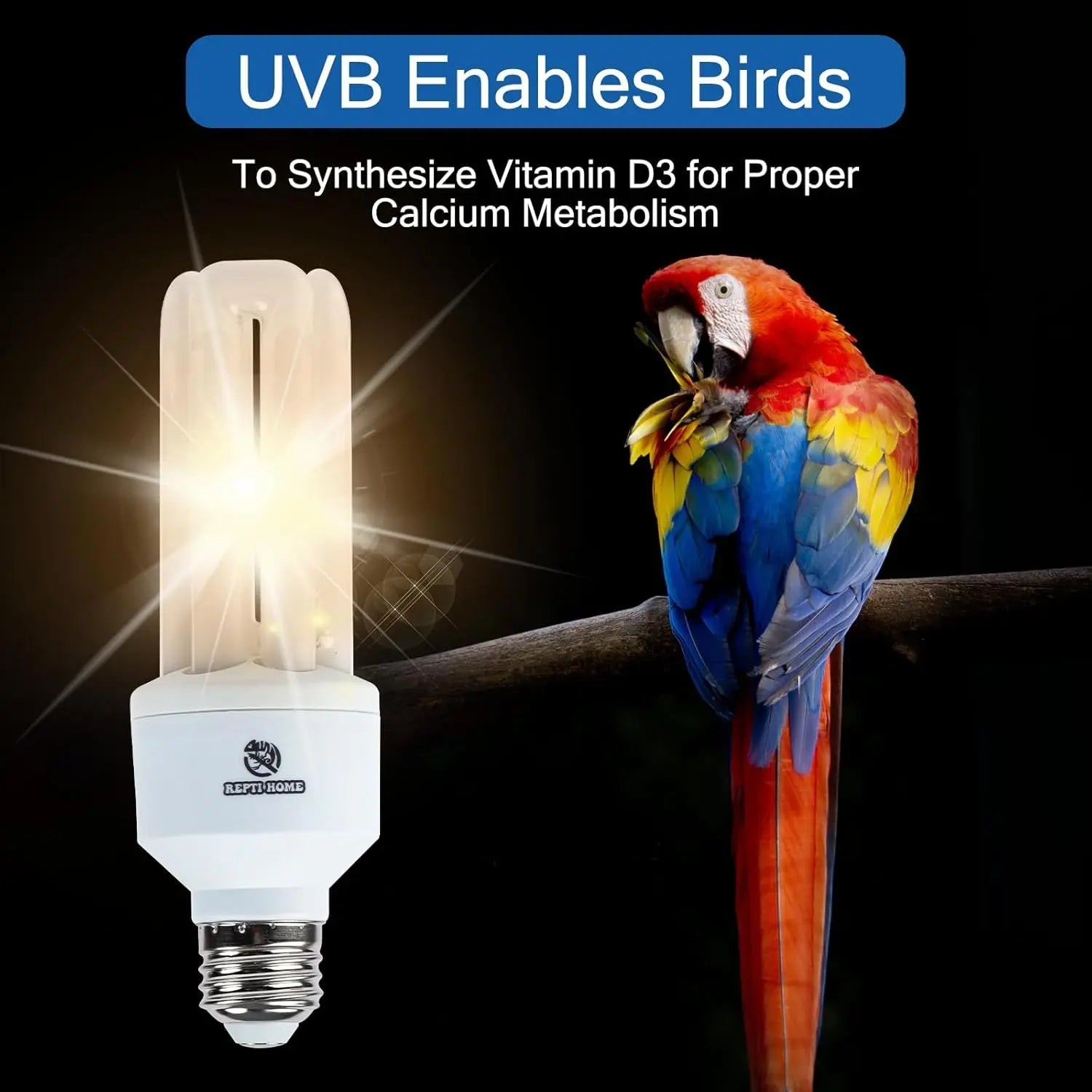 20W Full-Spectrum UVA UVB Bird Light Bulb – Compact Lamp