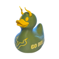 University of Southern Florida Duck