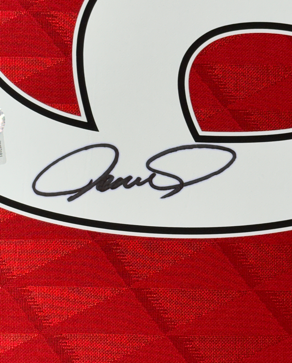 Framed Autographed/Signed Fernando Torres 35x39 Liverpool Red Soccer Jersey Beckett BAS COA