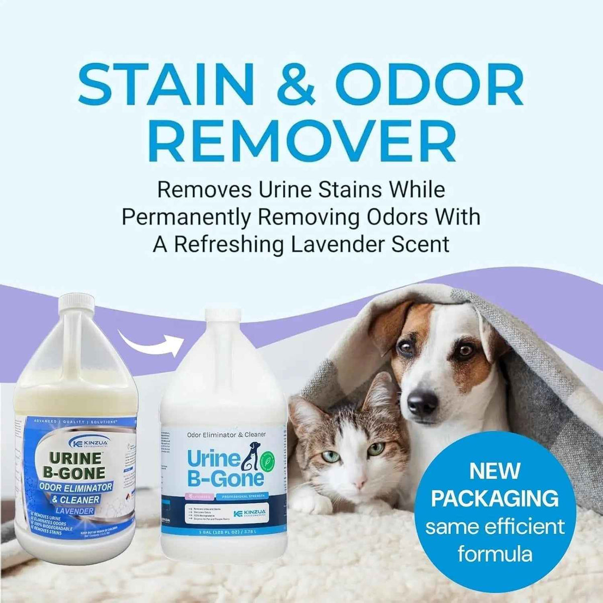 Urine B-Gone Enzyme Pet Odor Eliminator & Stain Remover – Lavender/Citrus Scent
