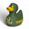 William & Mary Tribe Duck