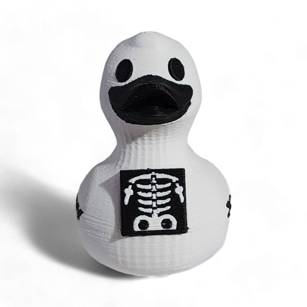 X-Ray Tech Duck