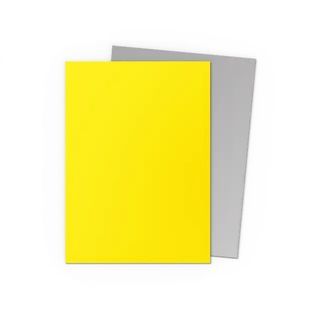 Dragon Shield: Yellow & Silver - Matte Dual Sleeves