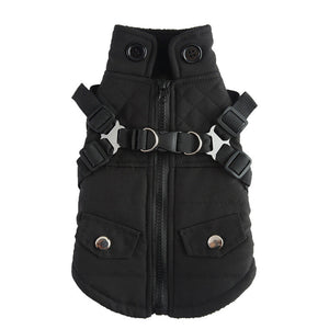 DZ276 black
