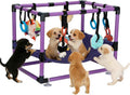 Indoor Puppy Play Gym with Hammock 8 Toys Dog Activity Center