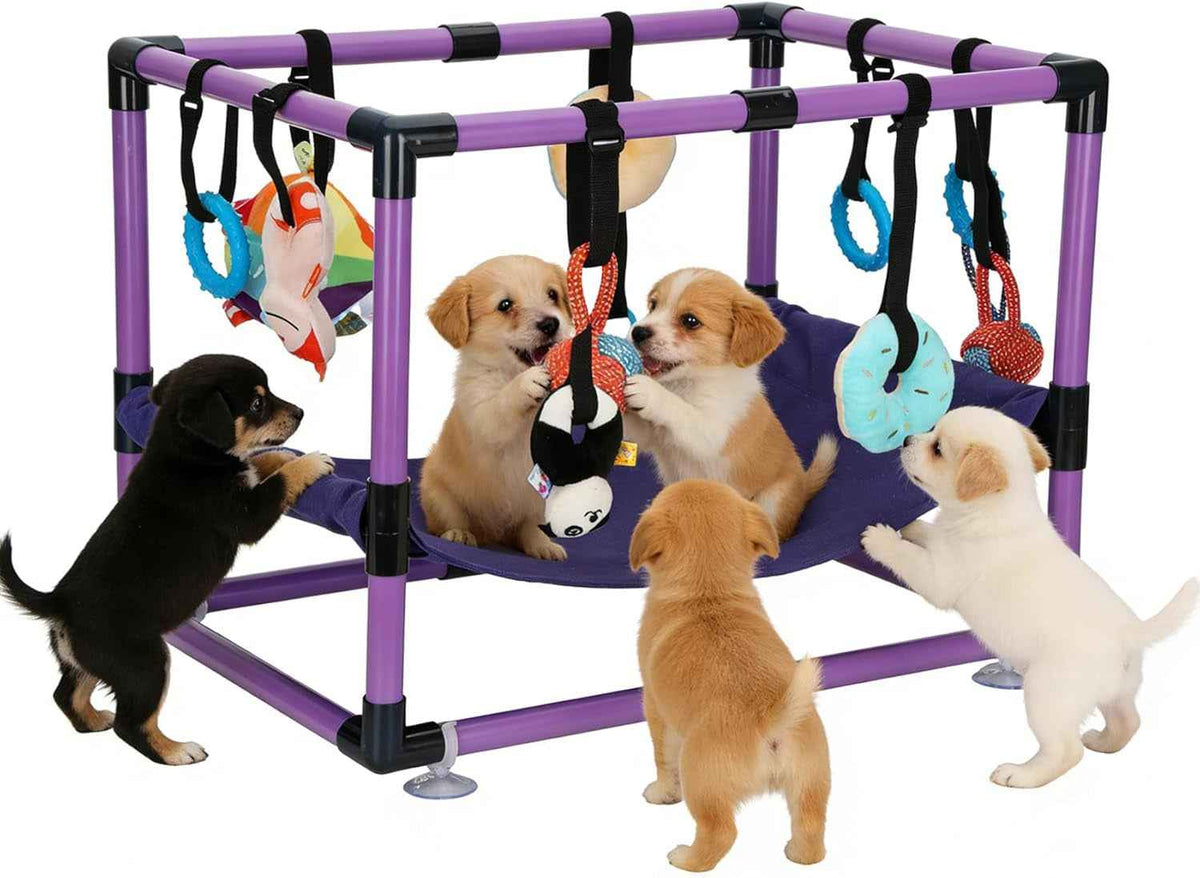 Indoor Puppy Play Gym with Hammock 8 Toys Dog Activity Center