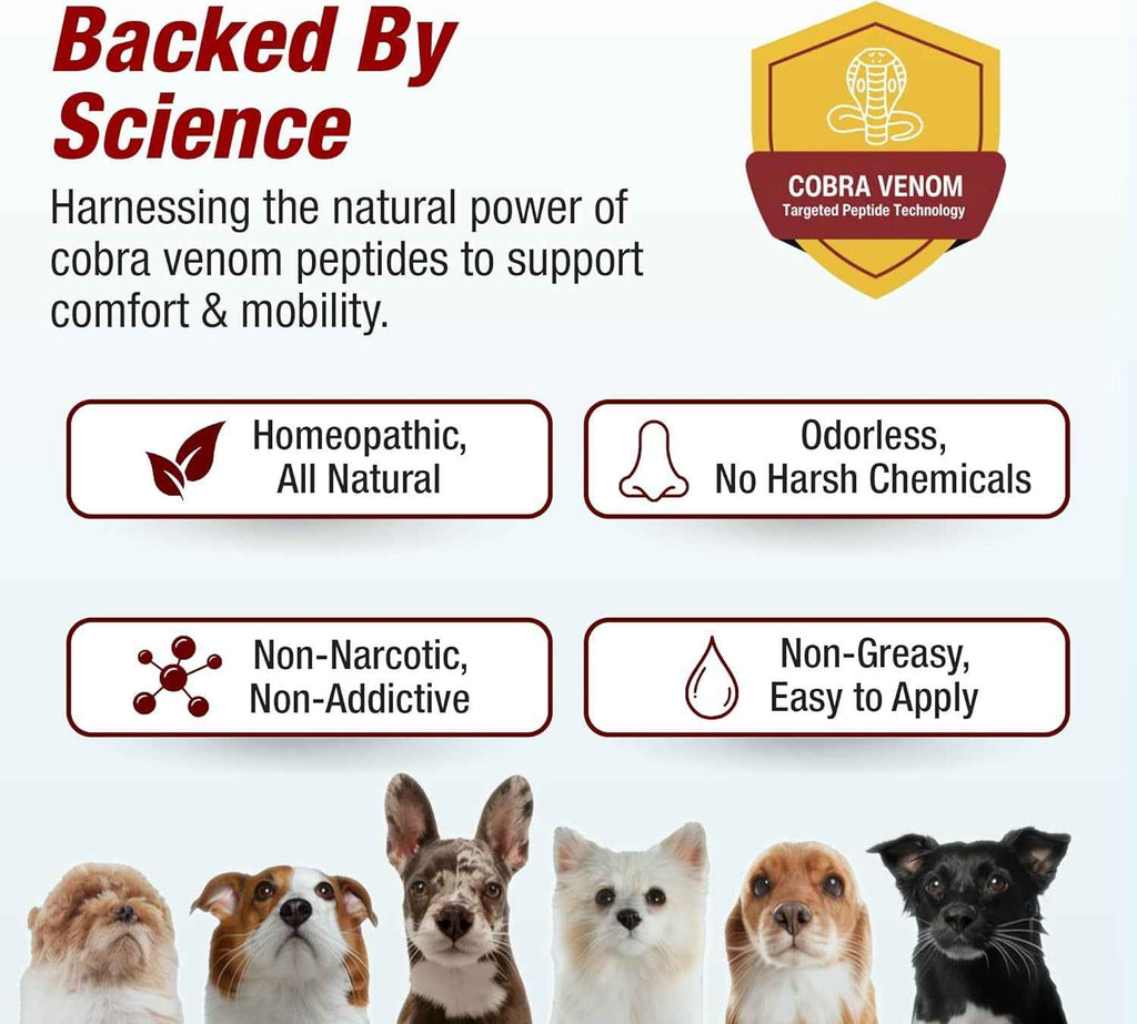 Pet Pain Relief for Dogs Cats Arthritis Joint Anti Inflammatory Drops 2oz