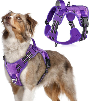 Purple Camo