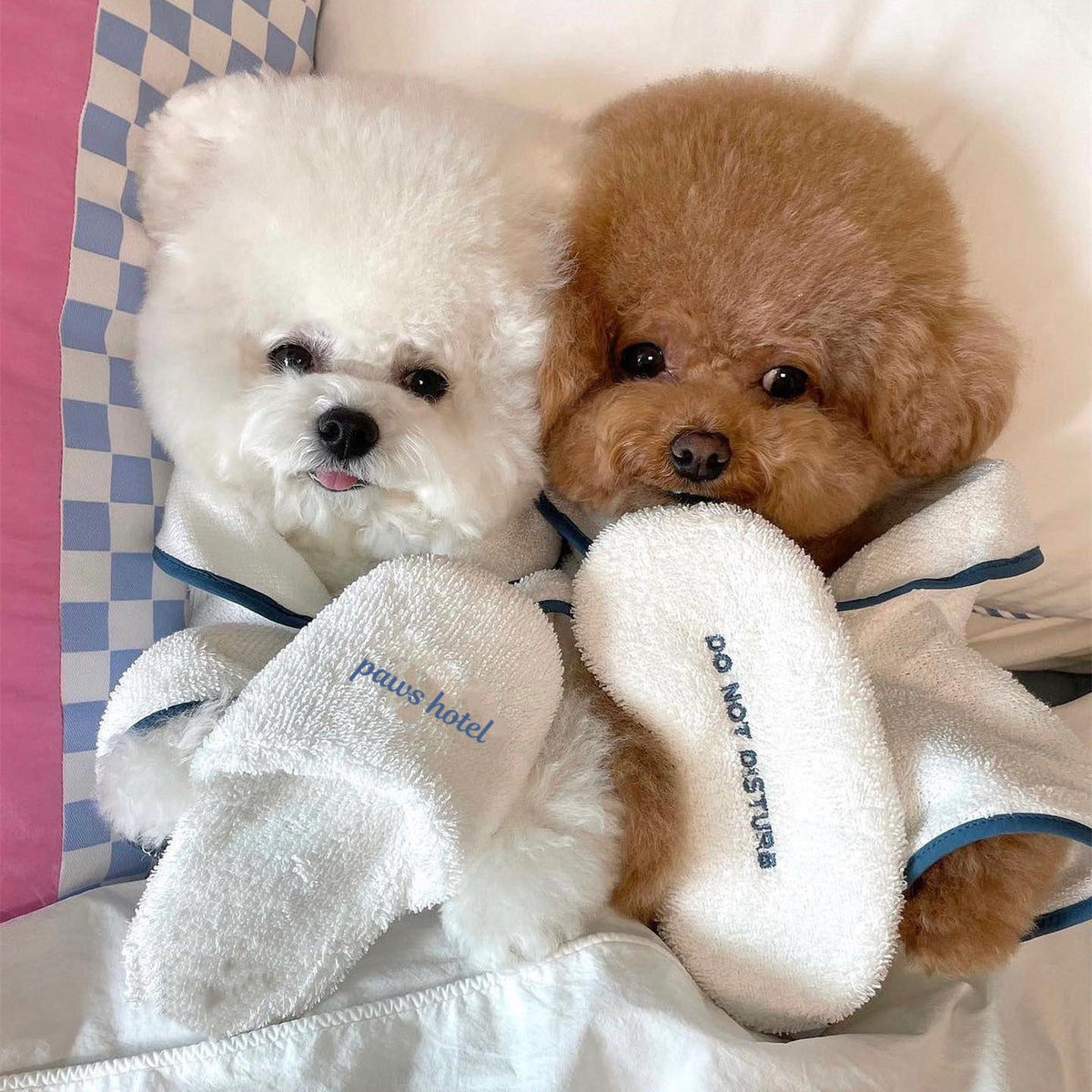 Pet Bath Towel Bathrobe Photo Prop Nightgown Pajamas Dog Pet Bichon Teddy