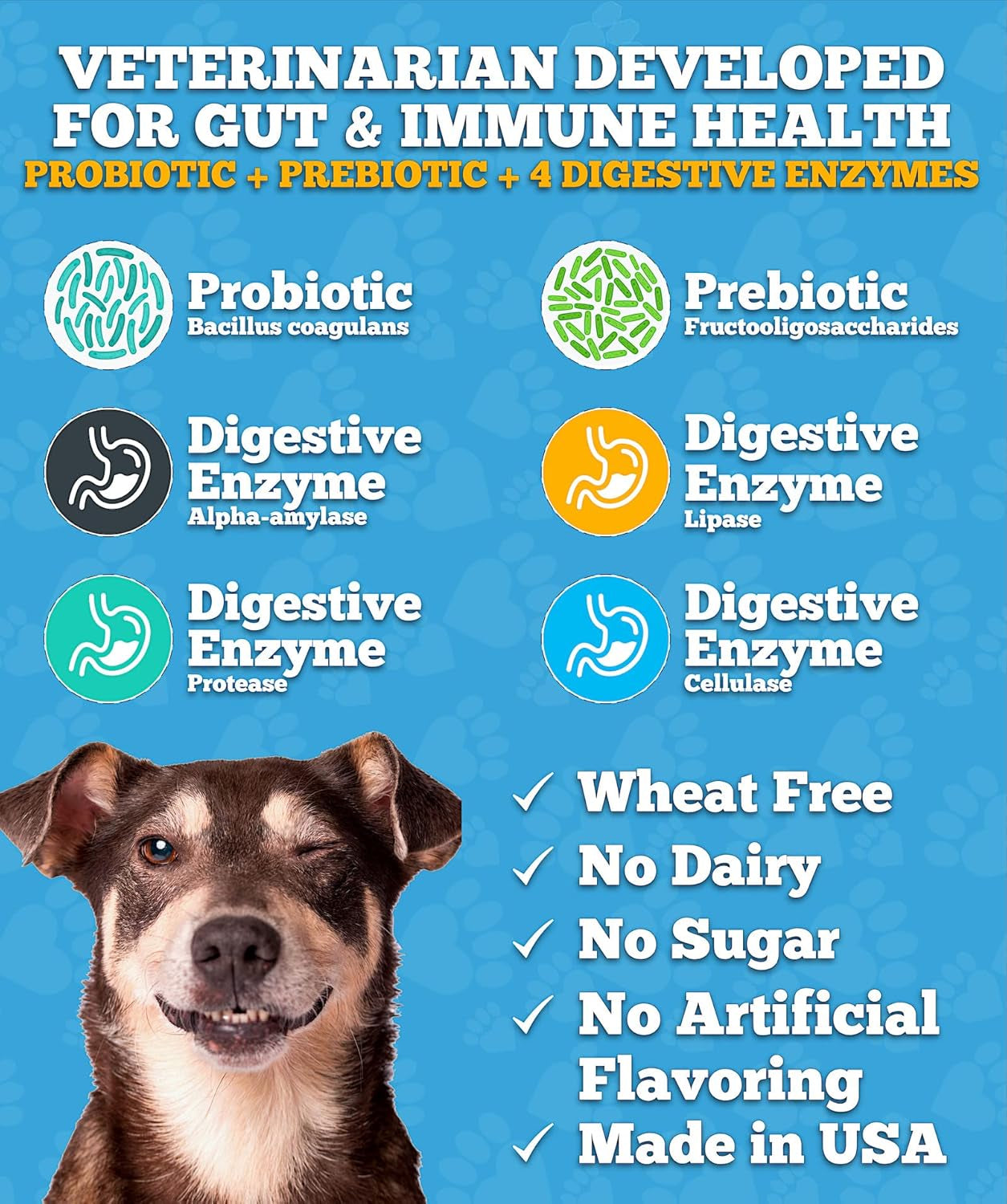 Well Loved Probiotics for Dogs with Prebiotics & Digestive Enzymes