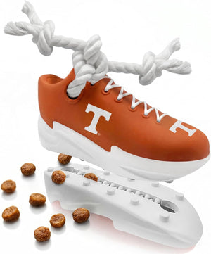 Tennessee Volunteers