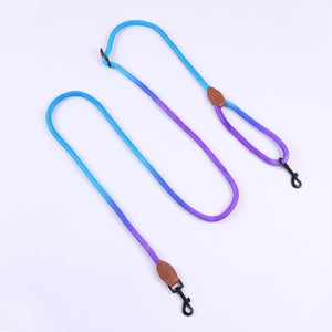 Blue And Purple