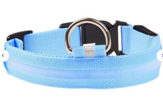 LED Adjustable Dog Collar- 5 Sizes 7 Colors  Blinking Flashing/Solid