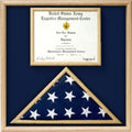 Air Force Flag and certificate Display case.