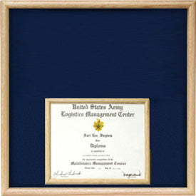 Air Force certificate at bottom Display case.