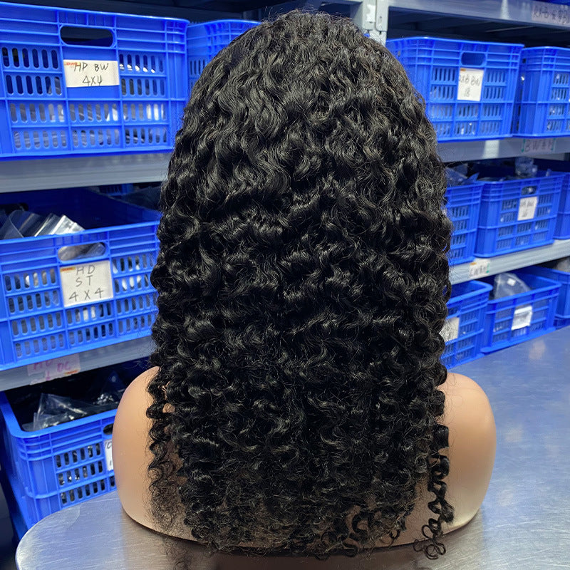 Human Hair Wig Full-head Wig