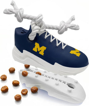 Michigan Wolverines