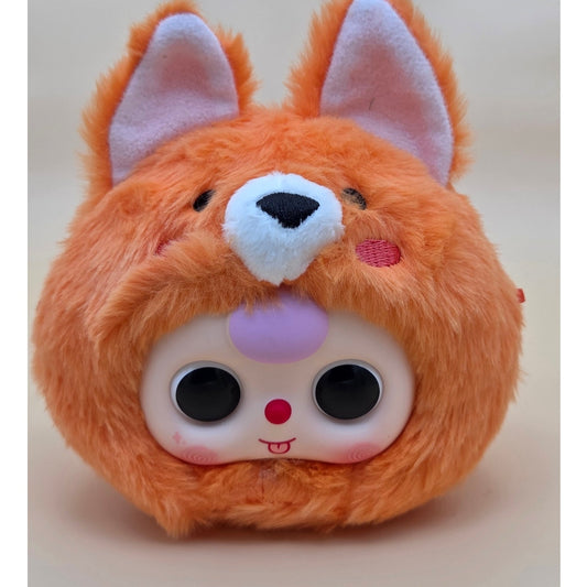 Baby Three Orange Cat Original - Confirmed Fox