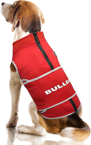 Goergia Bulldogs