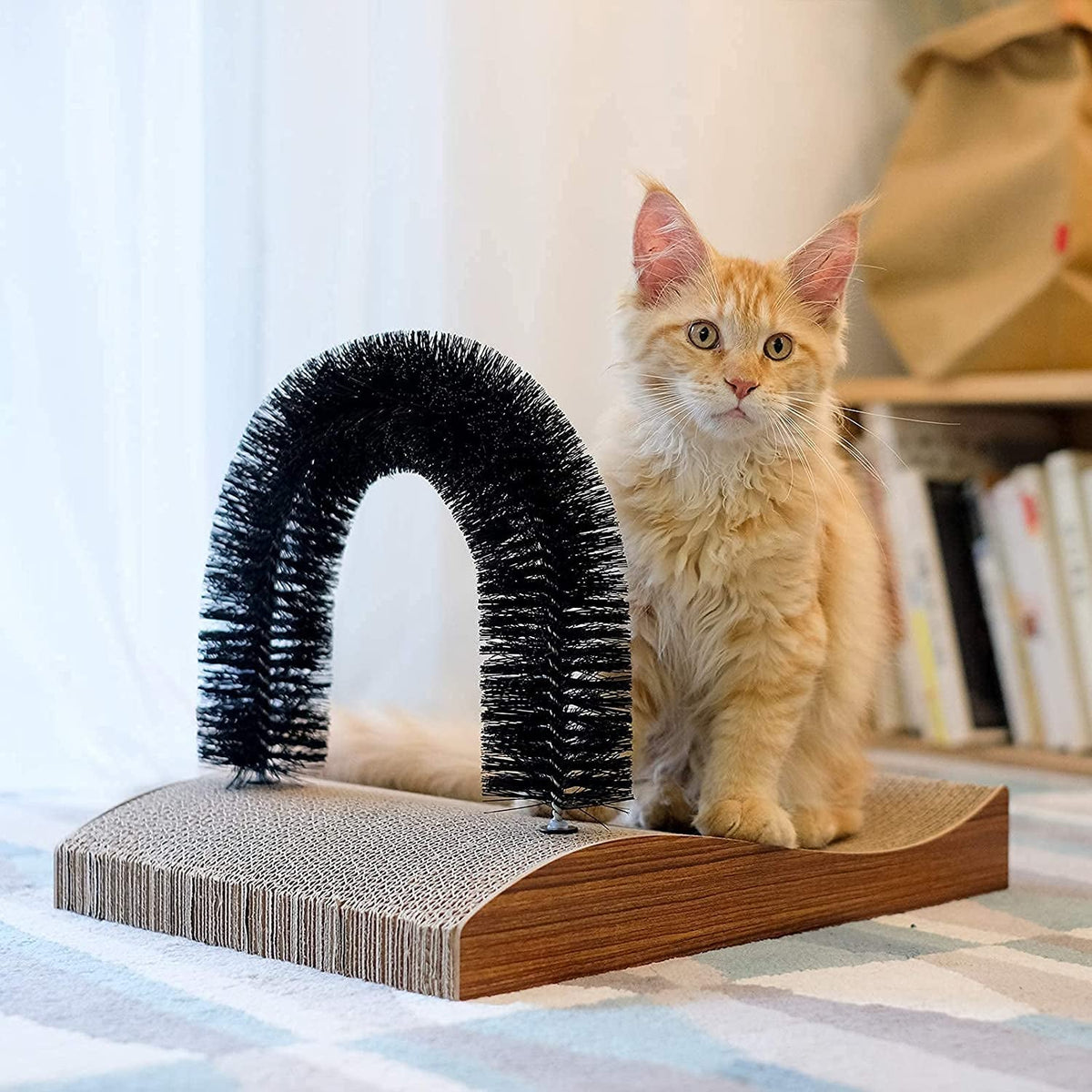 Cat Self Groomer Arch Scratcher & Massager with Scratch Pad