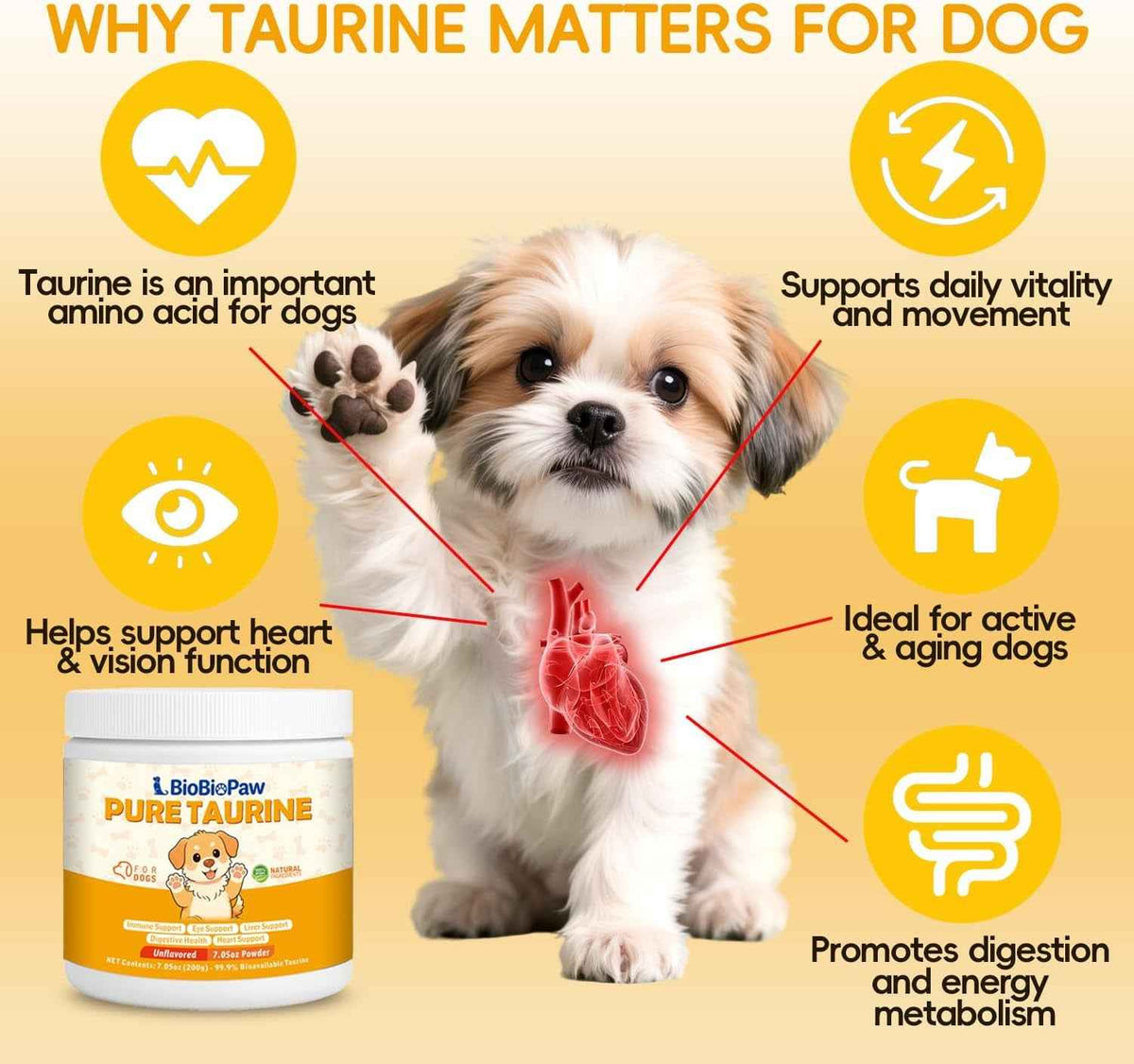 Taurine Powder for Dogs 500mg – Heart & Coat, 200g