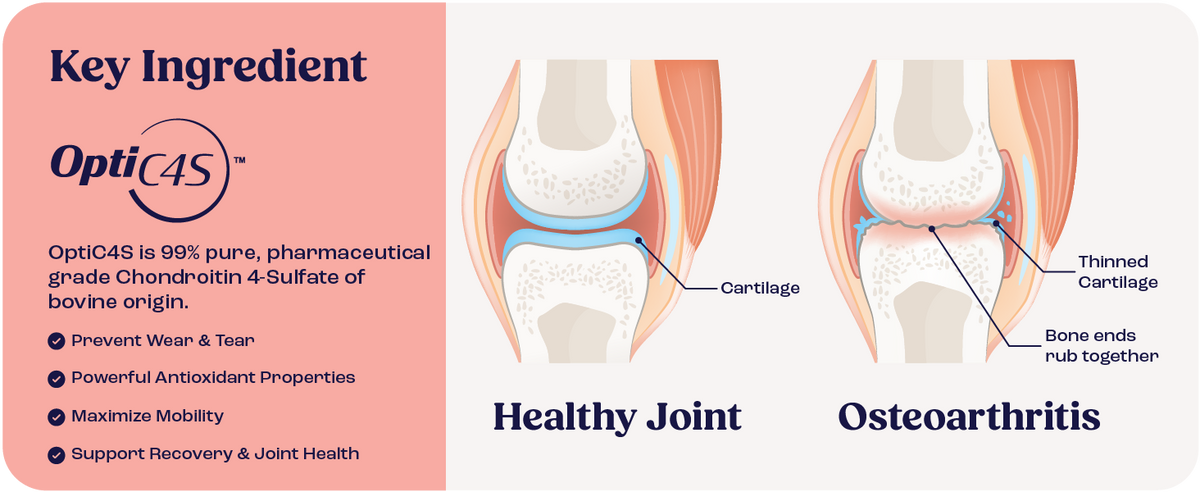 Cat Joint Supplement with Chondroitin for Mobility