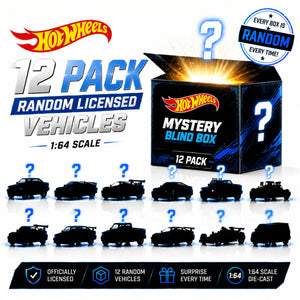Hot Wheels Random Licensed Blind Box Case | 12 Pack