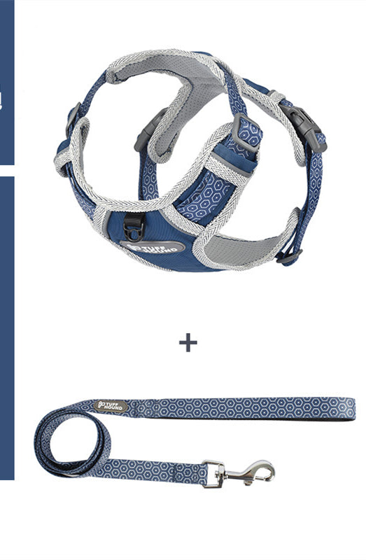 The Dog's Chest Strap Goes Out And Walks Leash