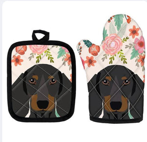 Dachshund